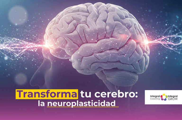 neuroplasticidad